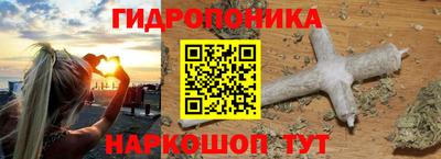 стаф Камень-на-Оби