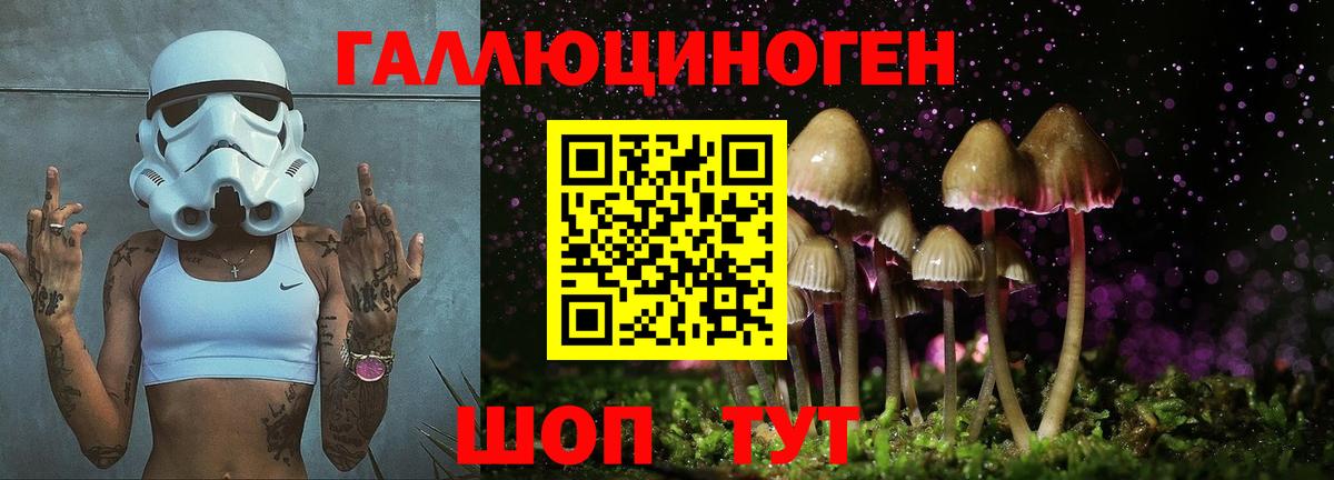 Галлюциногенные грибы мухоморы Павловский Посад